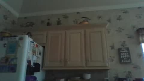 Snapshot of ally12334 chatting on December 2025 02:36:02 PM ally12334 online show from December 2025 02:36:02 PM