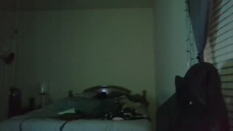 Snapshot of ally12334 chatting on April 2026 01:14:02 AM ally12334 online show from April 2026 01:14:02 AM