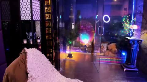 Alma online show from April 2026 10:30:02 AM