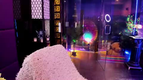 Snapshot of alma_pearl chatting on June 2026 05:45:01 AM Alma online show from June 2026 05:45:01 AM