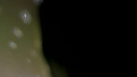 alotta_titties online show from February 2026 08:41:01 AM