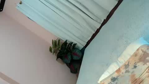 LEXY online show from February 2025 05:12:01 PM