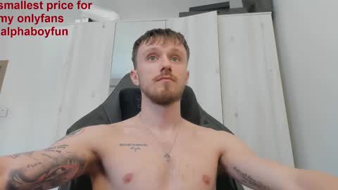 Andi online show from February 2025 09:53:02 AM