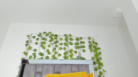 alyssia online show from September 2025 02:06:02 PM