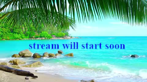 Amalia online show from January 2025 12:50:01 PM