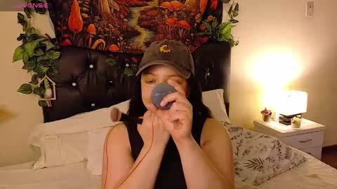         online show from November 2025 01:24:01 PM