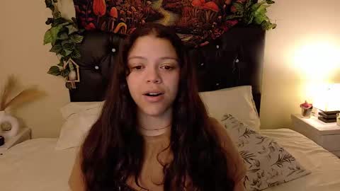         online show from November 2025 02:17:01 PM