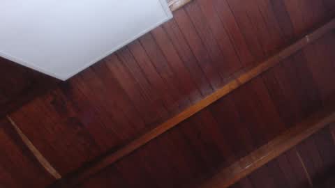   online show from September 2025 11:12:02 AM