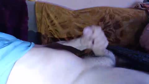 amazingcuteboy845 online show from April 2026 08:20:02 PM