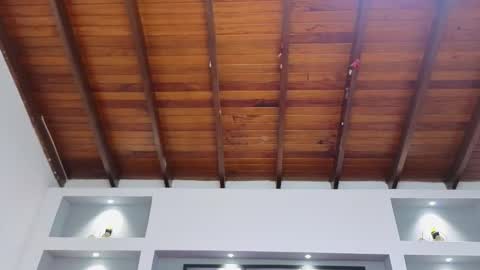 Ambar  online show from March 2026 11:44:02 AM