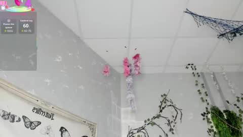 Ameli online show from February 2026 03:03:01 AM