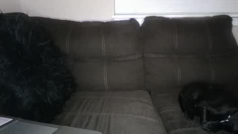 amiri_sweater online show from March 2025 11:39:02 AM