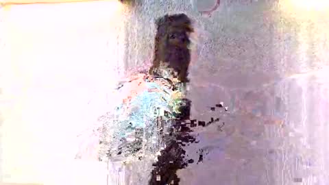 amiri_sweater online show from November 2025 07:10:01 AM