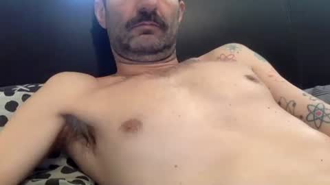 Snapshot of amued_mushroom chatting on April 2026 09:50:02 PM Dan online show from April 2026 09:50:02 PM