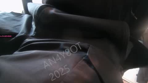 A online show from January 2025 09:41:01 AM