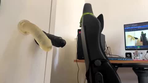 analass_ online show from September 2025 11:00:01 AM