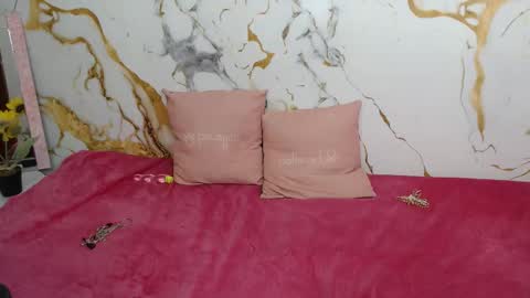 analiz_ online show from February 2026 01:32:01 AM