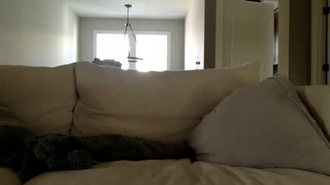 Andees222 online show from December 2025 04:36:02 PM