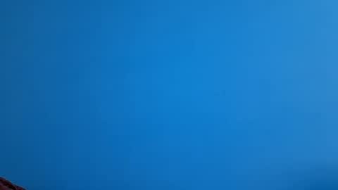 Snapshot of andemax chatting on November 2025 10:36:01 AM And 16.8 online show from November 2025 10:36:01 AM