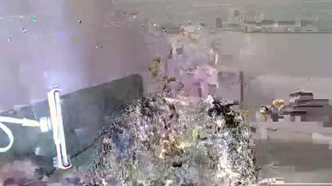 Andorphin online show from January 2025 12:24:01 PM