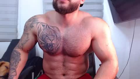 Snapshot of andrew_holden__ chatting on February 2026 12:04:02 AM andrew_holden__ online show from February 2026 12:04:02 AM