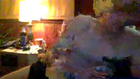 rayray32 online show from January 2025 03:36:02 AM