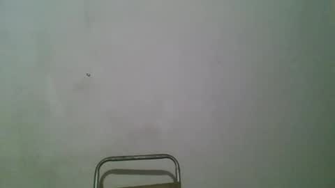 andy101075 online show from April 2026 04:35:01 AM