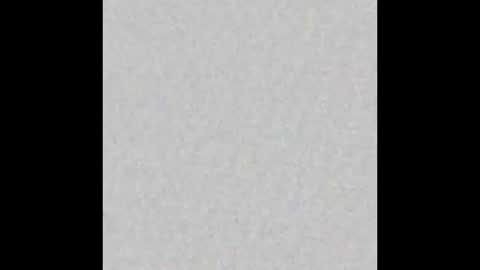 Andy online show from January 2025 08:02:02 AM