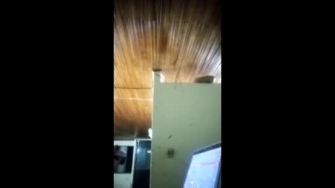 Angel dust9 online show from February 2026 05:16:02 AM