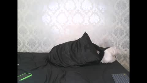 Snapshot of angel_lein chatting on February 2025 07:59:01 PM Angel Lein online show from February 2025 07:59:01 PM