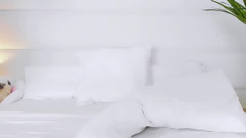 Angelic online show from November 2025 02:35:02 AM