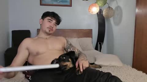 Snapshot of angelx_fox chatting on December 2024 06:17:02 PM Angel Fox online show from December 2024 06:17:02 PM