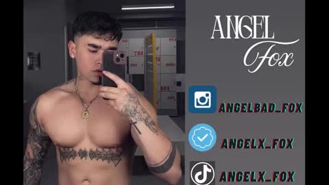 Snapshot of angelx_fox chatting on November 2025 08:41:02 PM Angel Fox online show from November 2025 08:41:02 PM