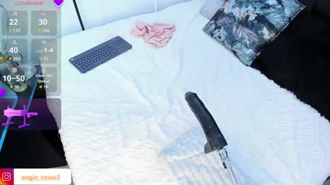 angiee roses online show from December 2024 08:02:02 AM