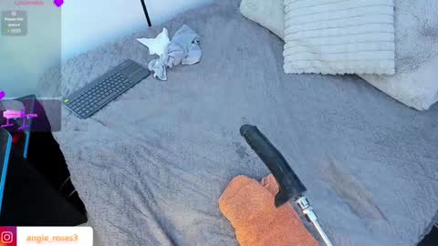 angiee roses online show from February 2025 02:49:01 AM