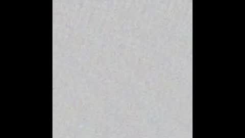 Maria online show from December 2025 11:37:01 AM