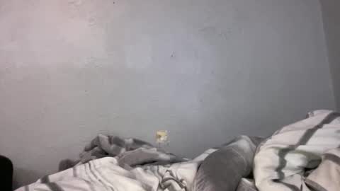 Animeboygirls online show from April 2026 02:15:01 AM