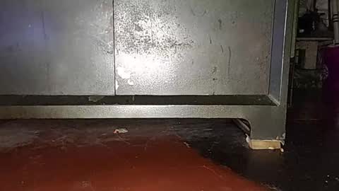 anis4551 online show from March 2026 08:24:02 PM