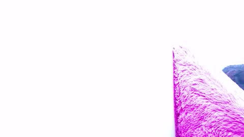 ana independent model online show from January 2025 07:37:02 AM