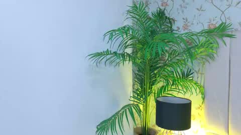 Dania Lpez online show from March 2026 12:42:01 PM