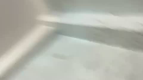 annabae69 online show from April 2026 12:21:01 PM