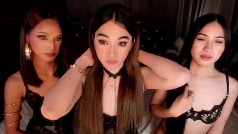 Snapshot of annalolaxoxo chatting on May 2026 11:05:02 AM AshyElliston online show from May 2026 11:05:02 AM