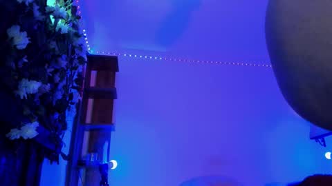 Anny online show from January 2026 07:11:01 PM