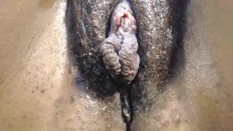 Anny online show from October 2025 11:11:01 AM