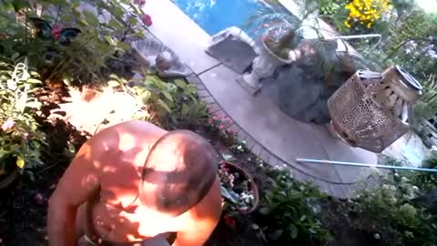 anoaklawnguy online show from September 2025 03:22:02 PM