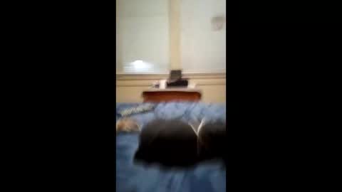 Snapshot of anthonymichael691973668762 chatting on March 2026 07:14:02 AM anthonymichael691973668762 online show from March 2026 07:14:02 AM