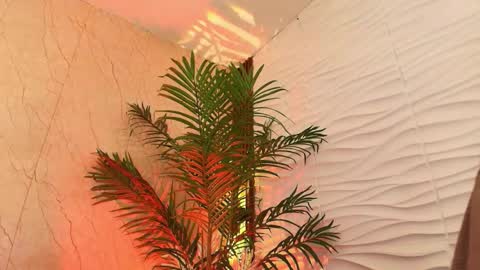 anton__monacu online show from November 2025 03:50:01 AM