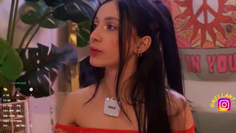 Nell. online show from February 2026 07:43:01 PM