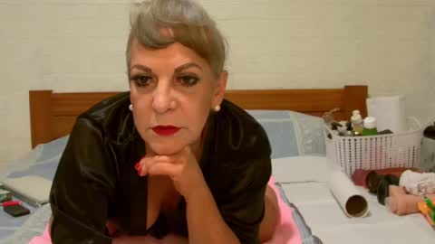 ANY CAT online show from December 2024 08:55:01 AM