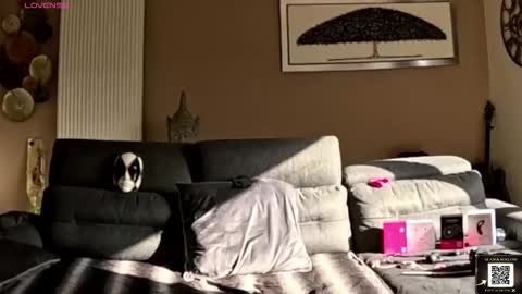 Snapshot of apollonfitx_69 chatting on February 2026 01:53:02 PM apollonfitx_69 online show from February 2026 01:53:02 PM